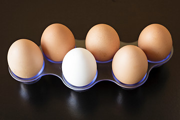 Image showing six  eggs isolated on black background