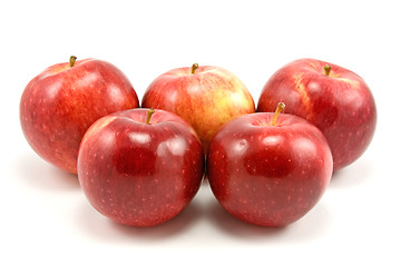 Image showing  red apples