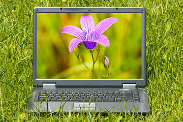 Image showing computer with beautiful flower  on screen 