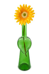 Image showing flower in a bottle with heart shape