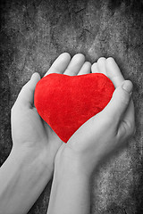 Image showing red heart in hands 