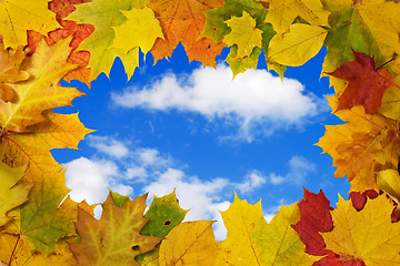 Image showing autumn leaves against blue sky background