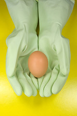 Image showing egg in a hands with rubber gloves
