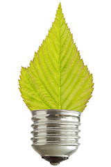 Image showing light bulb with leaf