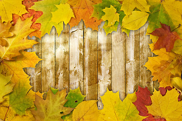 Image showing colored leaves on wooden board