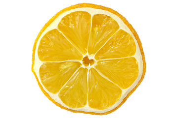 Image showing Slice of dry lemon