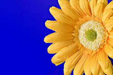 Image showing yellow artificial flower on blue background