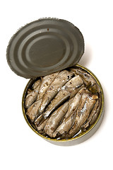 Image showing Sprat fish