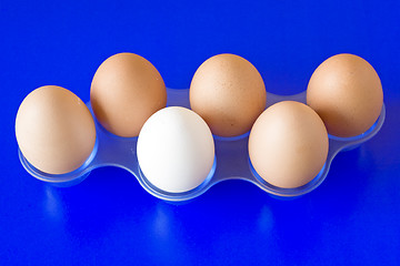 Image showing eggs on blue background