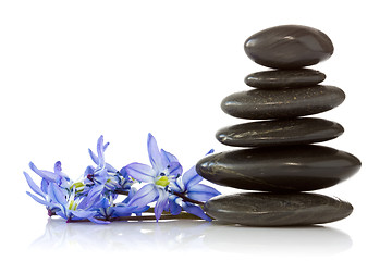 Image showing black stones and  blue  flowers 