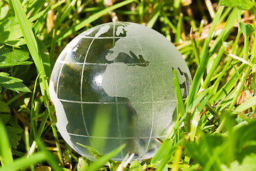 Image showing glass globe in the grass 