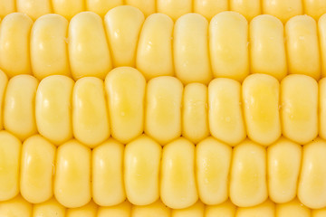 Image showing background of yellow sweet corn