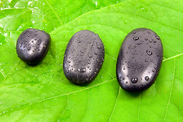 Image showing  stones on the green leaves