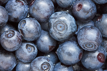 Image showing blueberries background