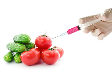 Image showing Scientist injecting GMO into the tomato