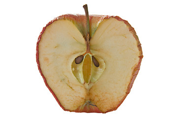 Image showing Inside of an old apple