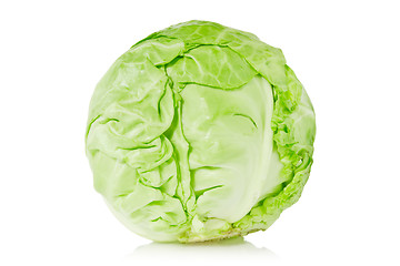 Image showing green organic cabbage 