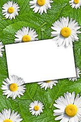 Image showing floral background with white blank card 