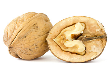 Image showing walnuts on white background