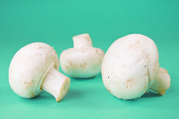 Image showing champignon mushrooms on the blue background 