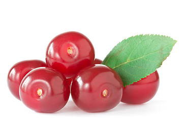 Image showing cherries with a green leaf