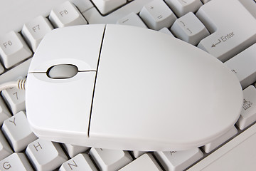 Image showing  computer keyboard and the mouse