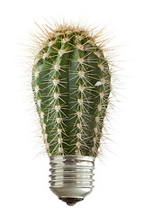 Image showing cactus growing out of a bulb