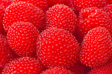 Image showing freshly picked ripe red raspberries