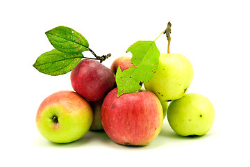 Image showing pile of apples