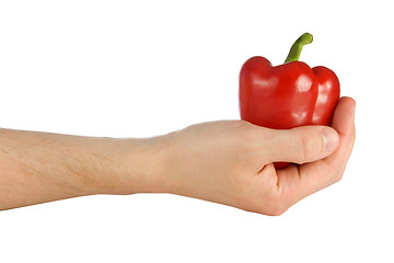 Image showing hand with a sweet pepper