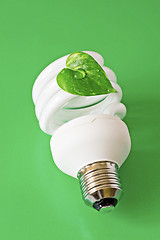 Image showing Energy saving lightbulb on green background