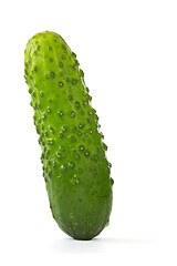 Image showing image of a green cucumber 