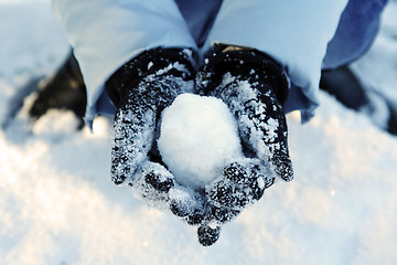 Image showing Winter fun