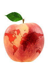 Image showing apple with world map 