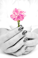 Image showing hands holding beutiful pink carnation flower