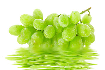 Image showing fresh green grapes with water reflection