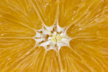 Image showing centre of orange fruit