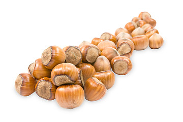 Image showing pile of hazelnuts