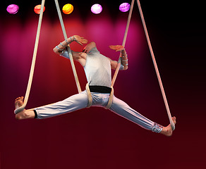 Image showing Acrobat