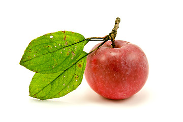 Image showing red apple with green leaves 