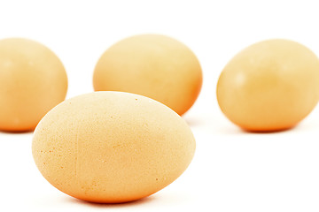 Image showing eggs on white background