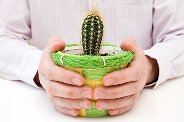 Image showing hands holding pot with cactus