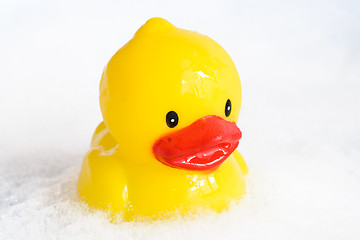 Image showing  bath duckling in a foam