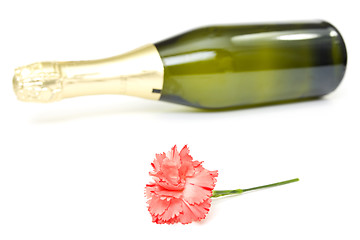 Image showing  carnation flower and bottle of champagne