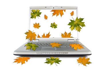 Image showing Autumnal leaves falling out of computer