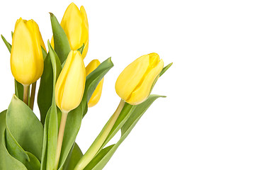 Image showing Bouquet of tulips