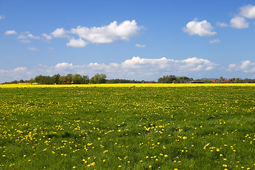 Image showing Rural landscape