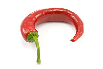 Image showing single red chili pepper