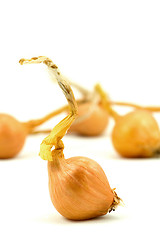 Image showing  small onions