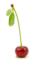 Image showing single red cherry